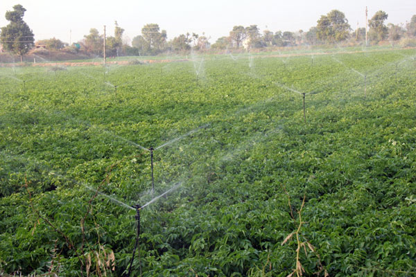 પ્રાકૃતિક ખેતીથી ભારતનું ભાગ્ય બદલી શકાશે, ...