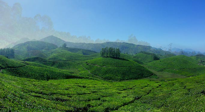 munnar kerala