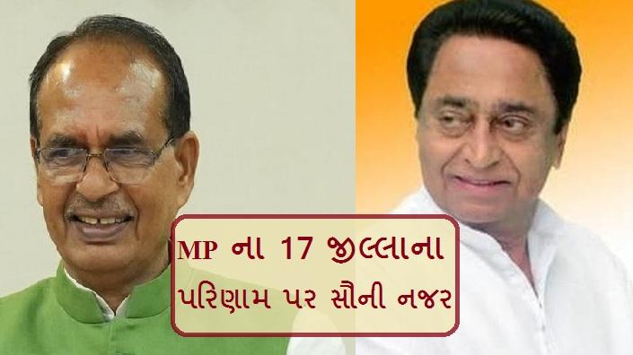 MP election result