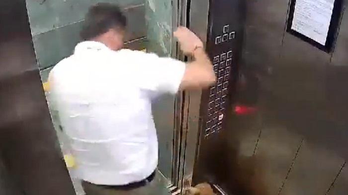 dog bite in lift