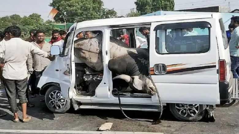 Banaskantha eco car and bull tragedy