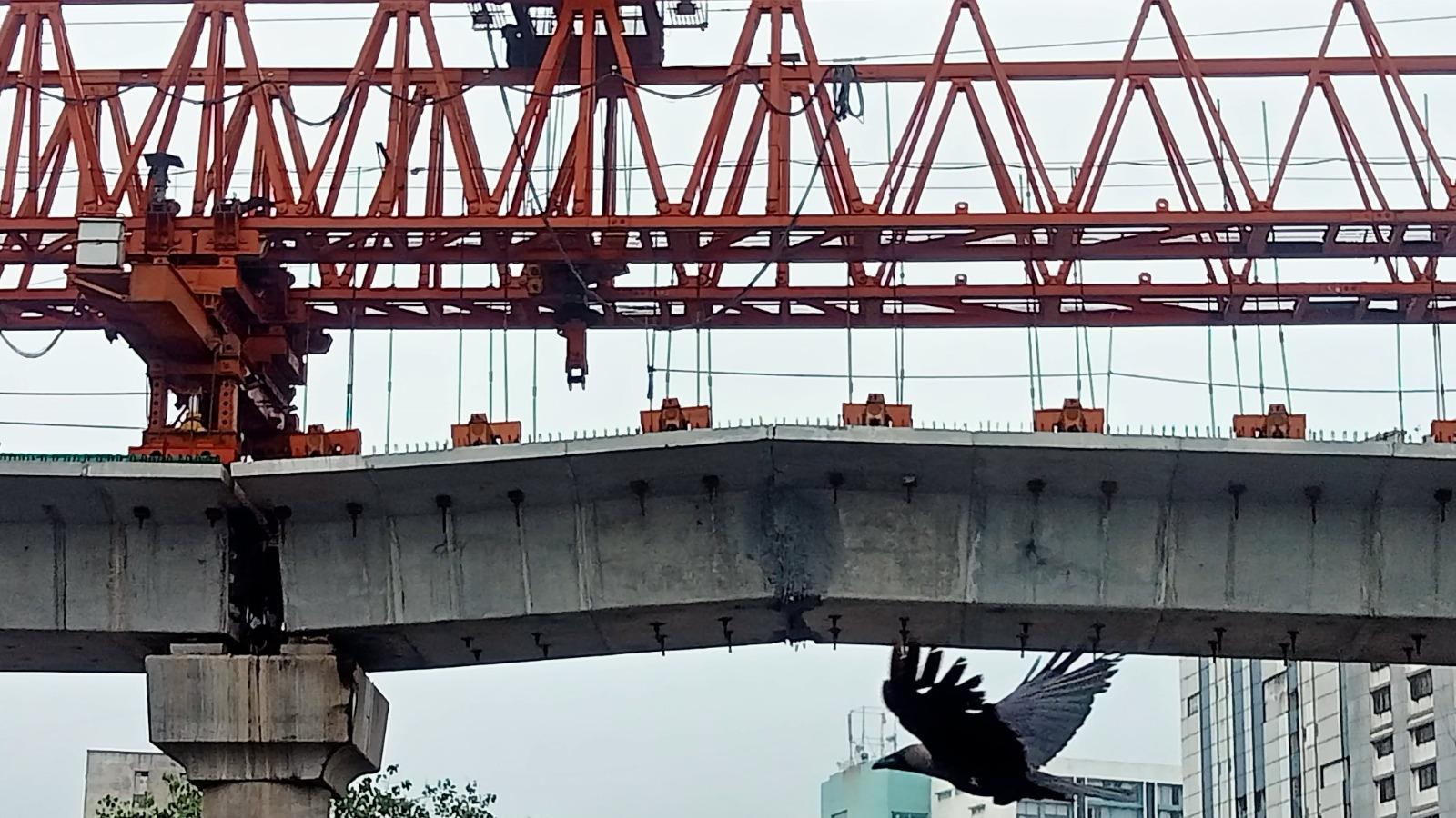 surat bridge