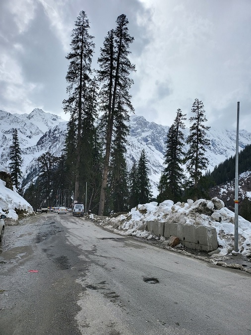 Image1