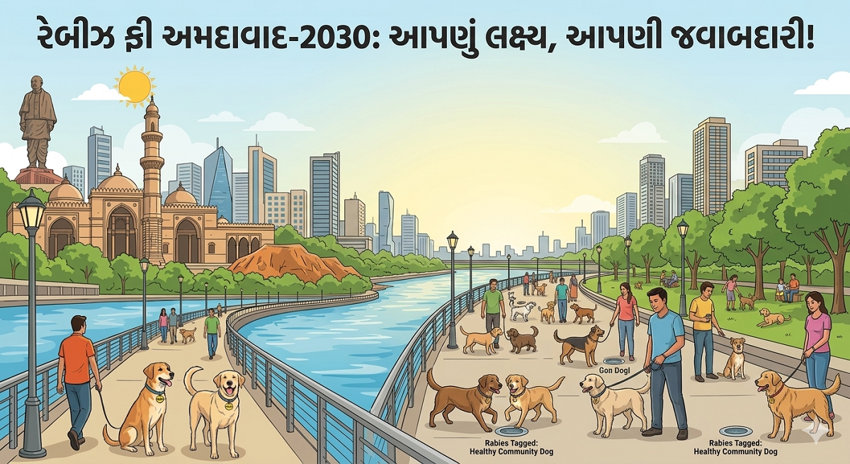રેબીઝ ફ્રી અમદાવાદ-2030: 10 મહિનામાં શહેરભરના ...