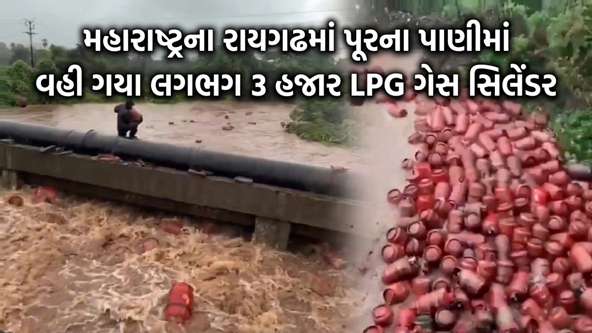 મહારાષ્ટ્રના રાયગઢમાં પૂરના પાણીમાં વહી ગયા લગભગ ...