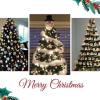 Christmas decorations ideas ક્રિસમસ ટ્રીને આ 5 અનોખી રીતે સજાવો