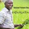 National Farmers Day -  શા માટે ભારતમાં 23 ડિસેમ્બરે ખેડૂત દિવસ ઉજવવામાં આવે છે? જાણો કારણ