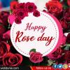 Happy Rose Day Wishes - રોઝ ડે પર ગુલાબ સાથે લખશો આ સુંદર મેસેજ તો ઈમ્પ્રેસ થશે તમારો સાથી