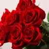 Rose Day Gift Ideas - રોઝ ડે પર, માત્ર ગુલાબથી ગુલદસ્તો જ નહીં, તમારા પાર્ટનરને આ અનોખી ભેટ આપો.