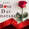 Happy Rose Day Wishes - રોઝ ડે પર ગુલાબ સાથે આ સુંદર મેસેજ લખીને કહો હેપી રોઝ ડે