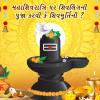 Mahashivratri 2025 -  મહાશિવરાત્રિ પર શિવલિંગની પૂજા કરવી કે શિવમૂર્તિની ?