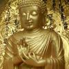 Buddha Purnima 2024: બુદ્ધ પૂર્ણિમાના શુભ દિવસ પર કરો આ વસ્તુની ખરીદી, ઘરમા બની રહેશે સુખ શાંતિ