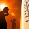 ગુજરાતમાં ગરમીથી 15 લોકોના મોત, તાપમાન 45.9 ડિગ્રી નોંધાયું