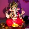 Sankashti Chaturthi Upay: સુખ અને સૌભાગ્ય પ્રાપ્તિ  માટે આજે સંકષ્ટી ચતુર્થીના દિવસે કરો આ ઉપાય, ભગવાન ગણેશ  આપશે આશિર્વાદ