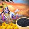 Shattila Ekadashi 2025: ષટતિલા એકાદશીના દિવસે કરો આ 5 વસ્તુઓનું દાન, ભગવાન વિષ્ણુ વરસાવશે અપાર આશીર્વાદ.