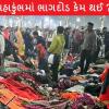 Mahakumbh Stampede -  મહાકુંભમાં કેમ મચી ભગદડ, કોણ છે જવાબદાર ? આ 5 ઓફિસરોની ભૂલથી કચડાયા લોકો, જાણો સંપૂર્ણ સ્ટોરી