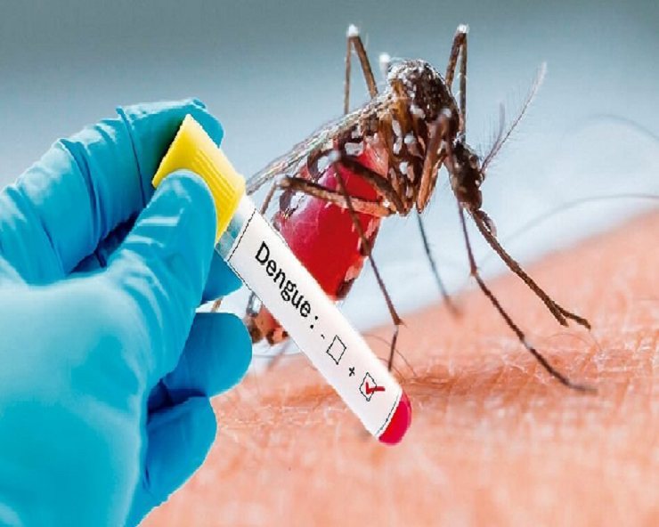 National Dengue Day 2024: સતત ઉલ્ટી અને હાથ પગ પર દાણા,  આ ડેંગુના લક્ષણ હોઈ શકે.. જાણો શુ કરવુ