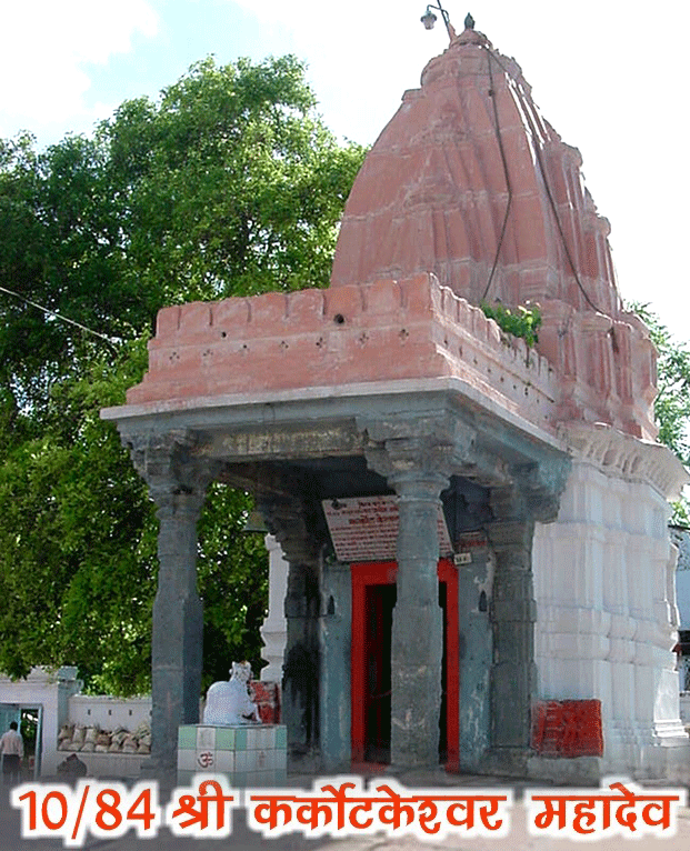 84 महादेव : श्री कर्कोटेश्वर महादेव(10) - Karkoteshwar Mahadev