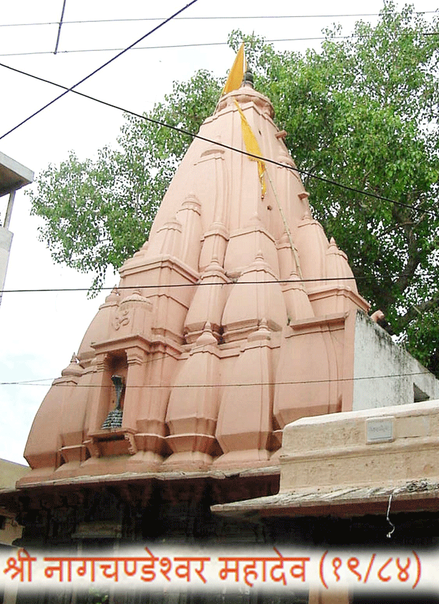 84 महादेव : श्री नागचण्डेश्वर महादेव(19) - Nagchandeshwar Mahadev