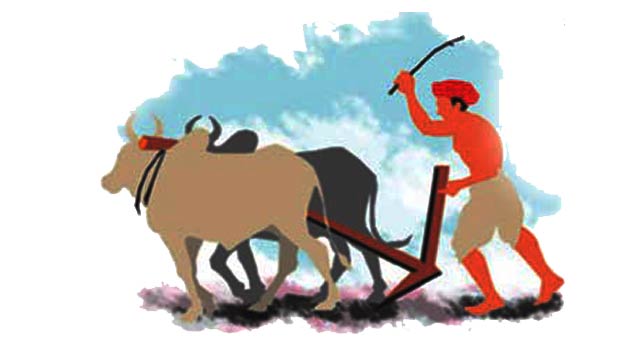 किसान जाए तो जाए कहां?