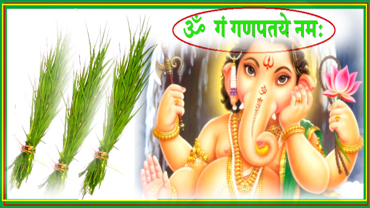 क्या आप जानते हैं श्रीगणेश पर दूर्वा चढ़ाने की ...