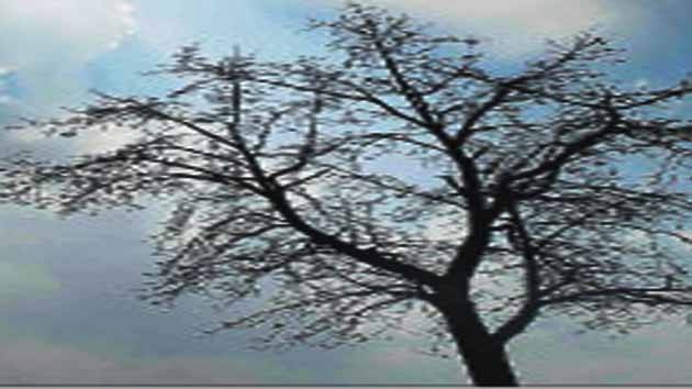 हिन्दी कविता : पहाड़ के नाम