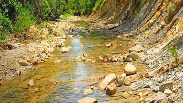 पानी का प्रबंधन, पेड़ पौधे प्रकृति व पर्यावरण से ...