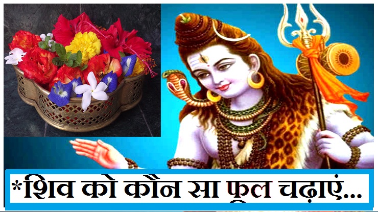 श्रावण मास में शिव को किस वरदान के लिए कौन सा फूल ...