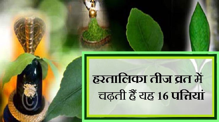 हरतालिका तीज पर यह 16 दिव्य पत्तियां चढ़ाकर ...