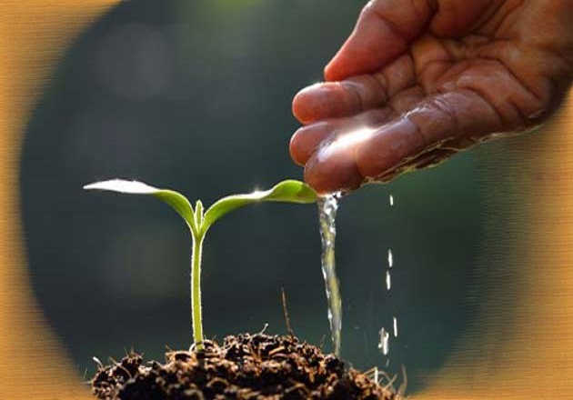 सदियों से हमारी संस्कृति और परंपरा समर्पित है ...