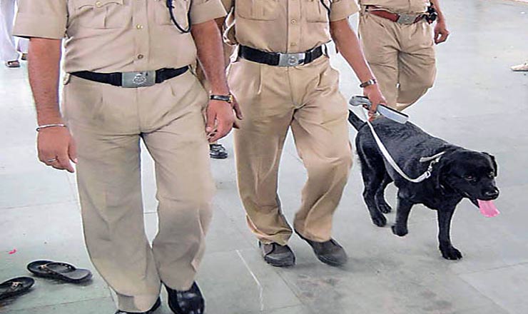 विश्वसनीयता के गुणी श्वान
