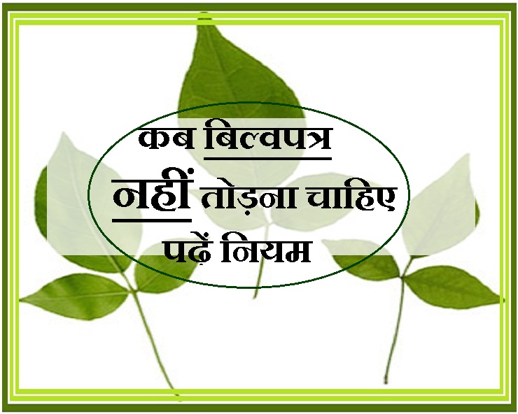 बिल्वपत्र से जुड़े बड़े सवालों का जवाब मिलेगा ...