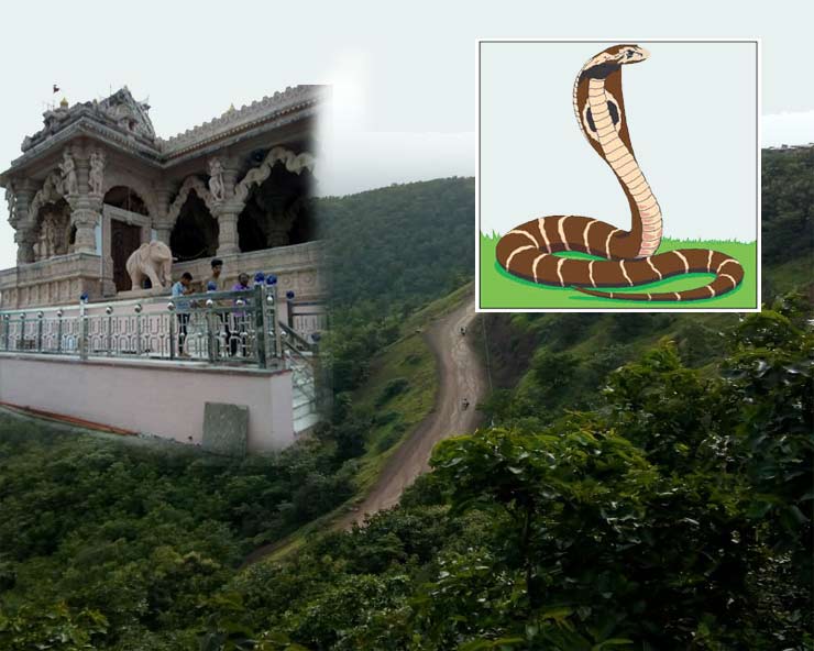 नागवंश और नाग पूजा : नागपंचमी