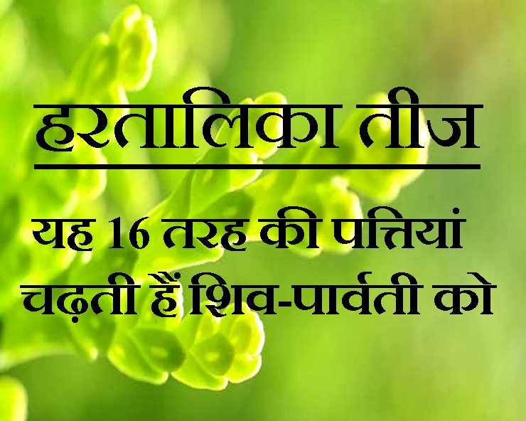 पर्यावरण का संदेश देती है हरतालिका तीज, 16 तरह की ...