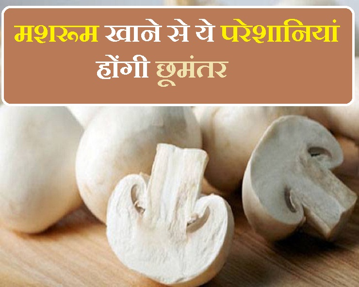 मशरूम में मौजूद हैं कई पोषक तत्व, जानिए इसके सेवन से होने वाले फायदे