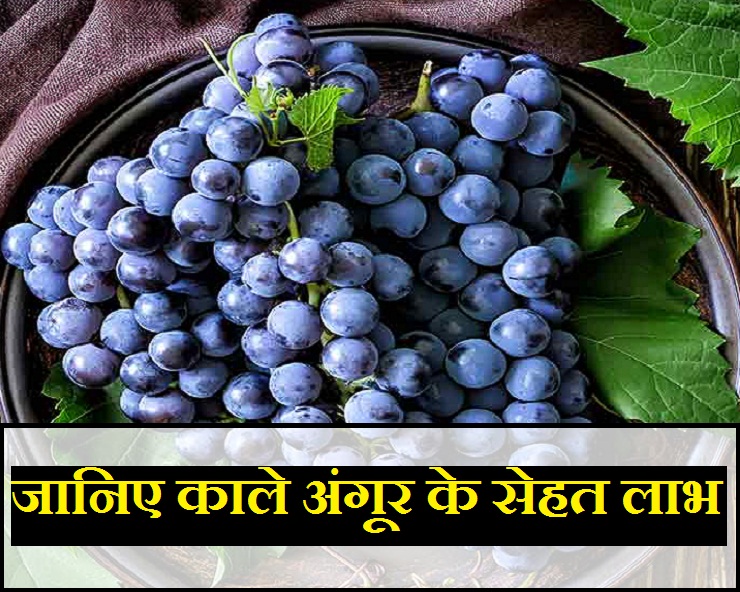 गर्मियों में करें काले अंगूर का सेवन, कई बीमारियां होंगी दूर Health