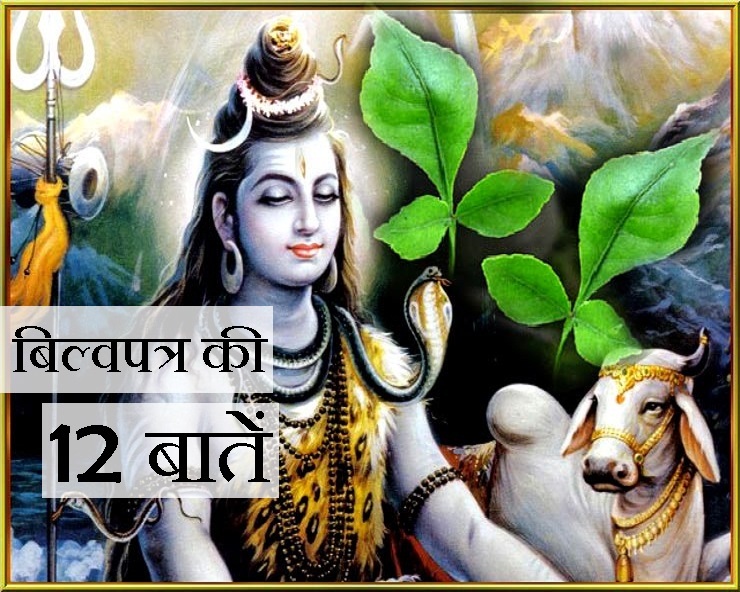 Shravan 2019 बिल्वपत्र के पेड़ की ये 12 बातें पढ़कर चकित रह जाएंगे आप
