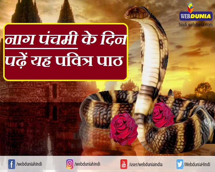 कालसर्प दोष से पीड़ित हैं तो घबराएं नहीं, बस नाग ...