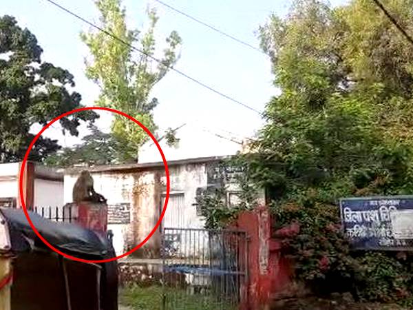 अद्भुत, घायल बच्चे को लेकर अस्पताल पहुंची ...