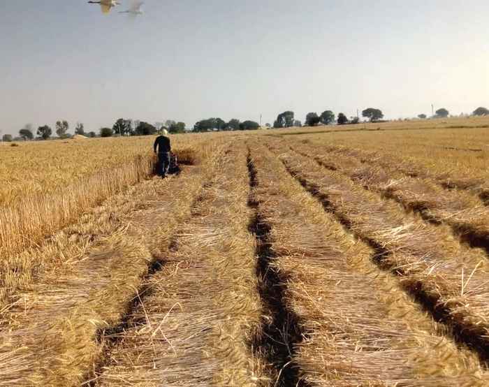 Image1