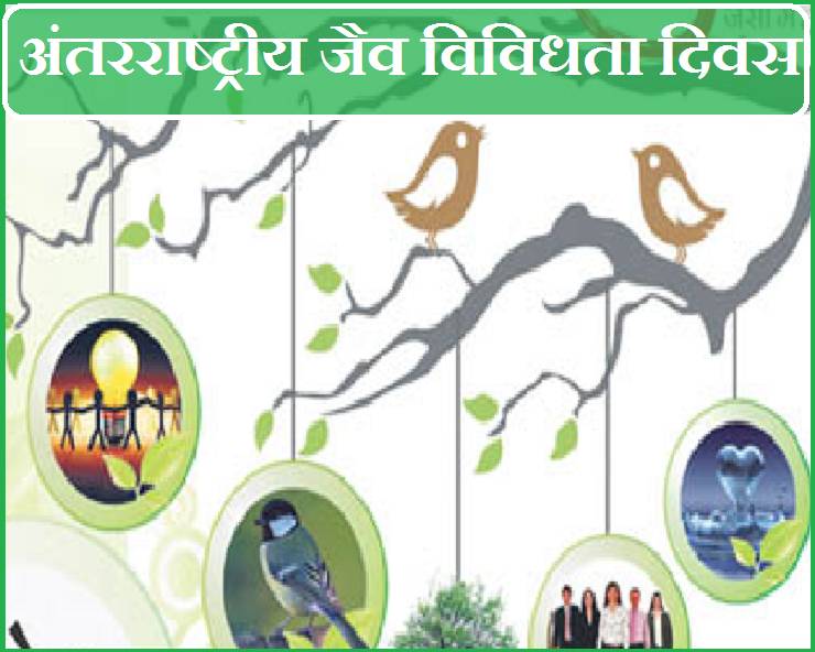 World Biodiversity Day : जैव विविधता दिवस, ...