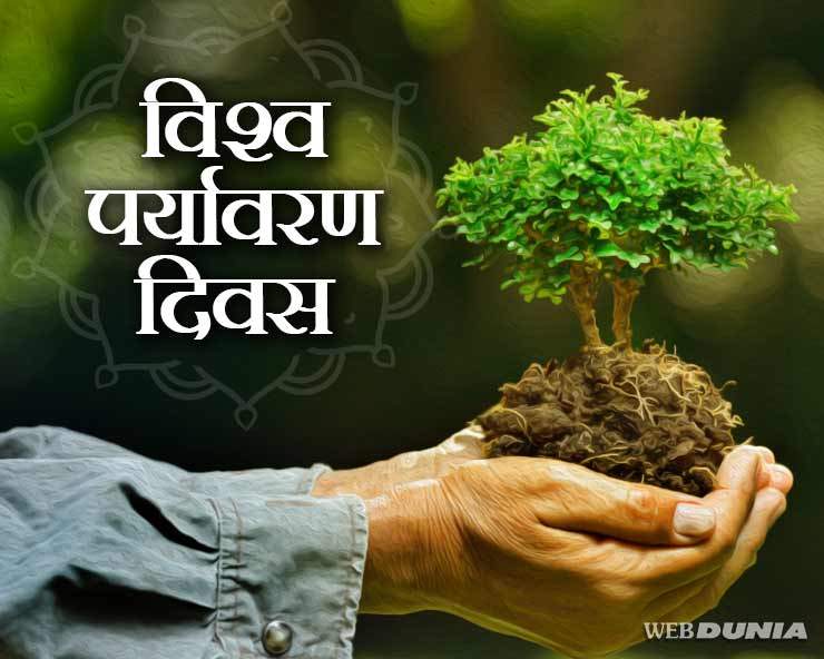 Environment Day 2020 : पर्यावरण को स्वस्थ रखेंगी ...