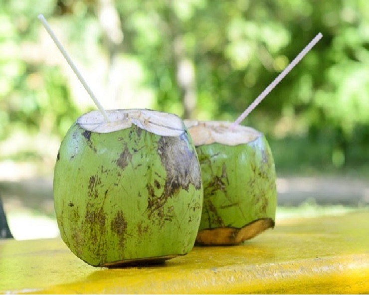 आंगन में नारियल का पेड़ क्या सुख देता है, जानिए