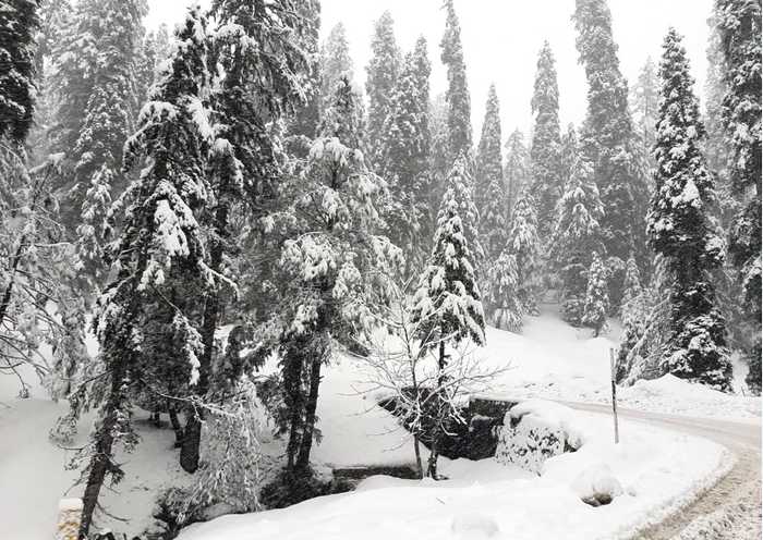 Kashmir Snowfall