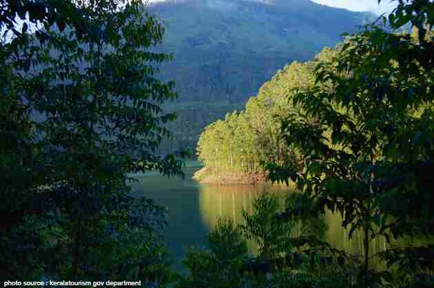 Munnar hill station