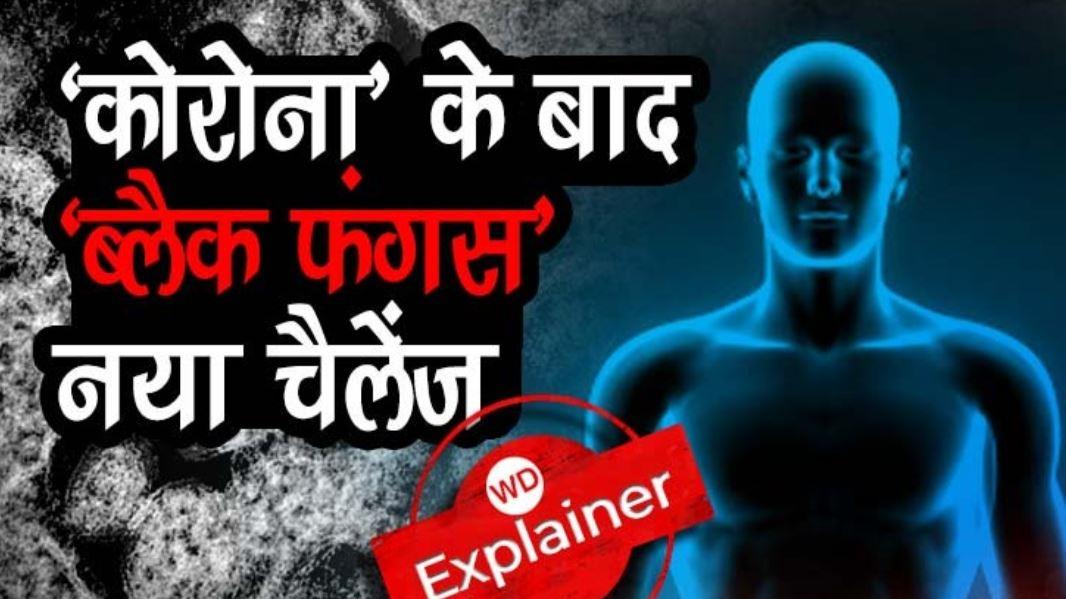 क्‍या हवा और मिट्टी में है ब्लैक फंगस, क्‍या कहा डॉक्‍टरों ने, कैसे