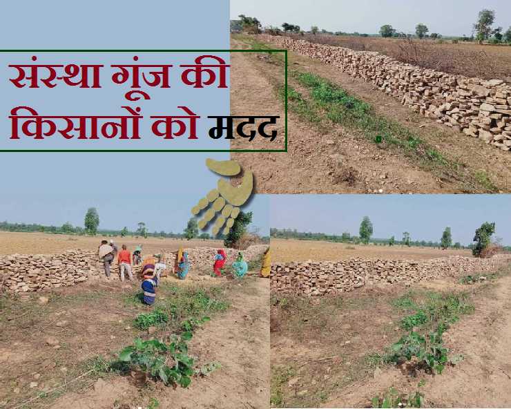 खेतों की सुरक्षा के लिए सराहनीय पहल
