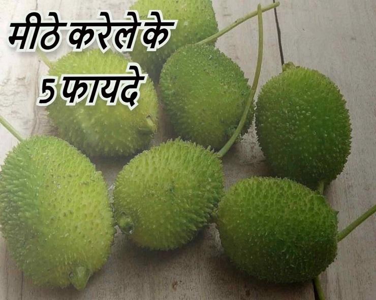 Karela benefits in hindi best sale