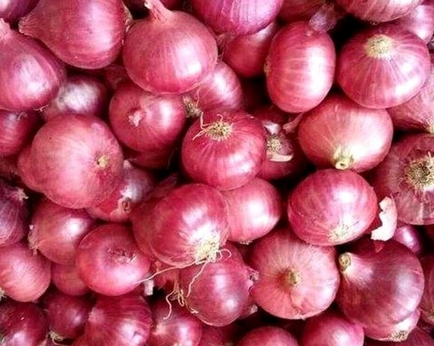 Onion