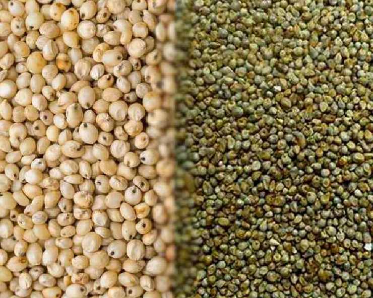 मिलेट में कौन कौन से अनाज आते हैं? Different Types Of Millets